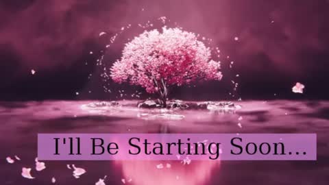 Daphne Sophia Vega online show from April 3, 2026, 8:01 am