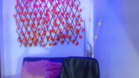 Snapshot of diana_serna chatting on January 15, 2025, 4:43 pm Diana online show from January 15, 2025, 4:43 pm