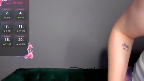 Snapshot of dianne_davis chatting on January 25, 2025, 2:36 pm Dianne online show from January 25, 2025, 2:36 pm