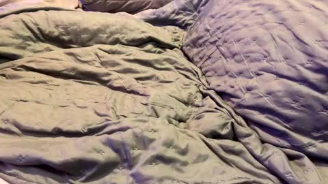 dicapri91 online show from January 17, 2025, 5:32 am