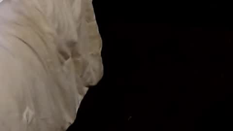 Sparkx online show from September 9, 2025, 1:05 am