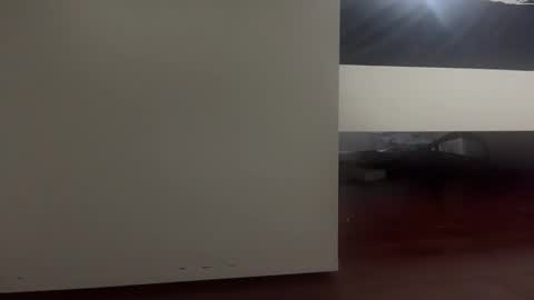 Snapshot of dickmanthe1 chatting on January 13, 2026, 6:57 pm dickmanthe1 online show from January 13, 2026, 6:57 pm