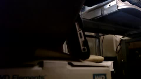 dbNorth online show from January 13, 2025, 1:13 am