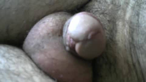 Snapshot of dilaradagci chatting on January 11, 2025, 8:33 am Bob online show from January 11, 2025, 8:33 am