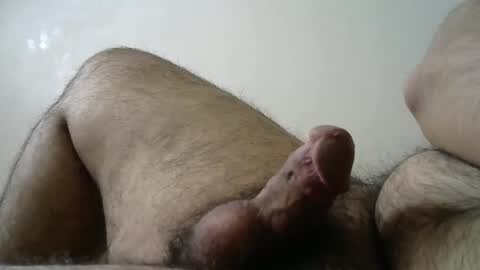 Snapshot of dilaradagci chatting on February 27, 2025, 11:41 am Bob online show from February 27, 2025, 11:41 am