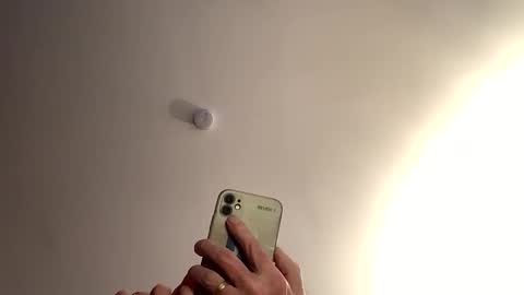 Dildolover online show from January 15, 2026, 9:58 am