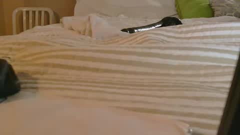 Snapshot of dildosnme22 chatting on February 9, 2026, 11:14 am dildosnme22 online show from February 9, 2026, 11:14 am