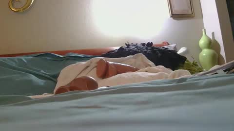 Snapshot of dildosnme22 chatting on February 10, 2026, 2:48 am dildosnme22 online show from February 10, 2026, 2:48 am