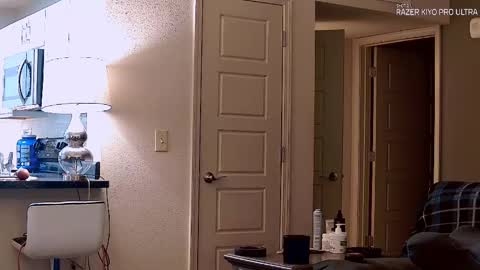 Dilldough405 online show from September 21, 2025, 1:18 am