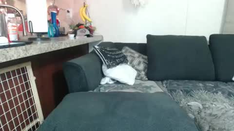 Sofie online show from December 23, 2024, 8:33 am