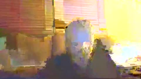 dingleberryjonesmagee online show from October 25, 2025, 10:26 pm