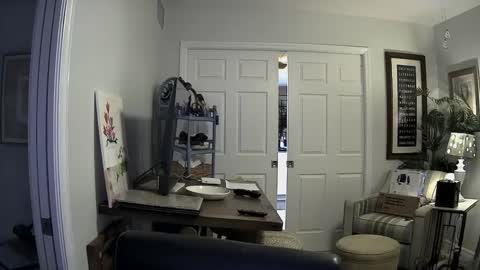 Snapshot of dirkpitt223 chatting on January 2, 2025, 3:05 am DirtkPitt Fun guy working online show from January 2, 2025, 3:05 am