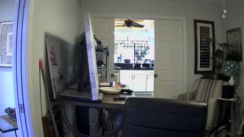 Snapshot of dirkpitt223 chatting on January 3, 2025, 7:39 pm DirtkPitt Fun guy working online show from January 3, 2025, 7:39 pm