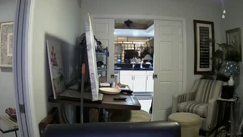 Snapshot of dirkpitt223 chatting on January 4, 2025, 2:35 am DirtkPitt Fun guy working online show from January 4, 2025, 2:35 am