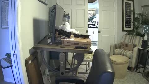 Snapshot of dirkpitt223 chatting on January 21, 2025, 7:17 pm DirtkPitt Fun guy working online show from January 21, 2025, 7:17 pm