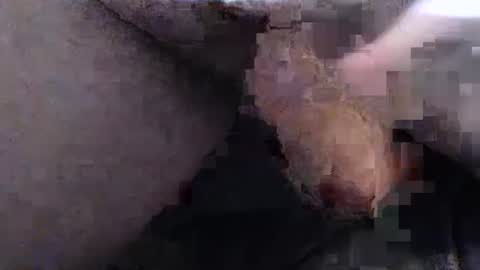 Snapshot of dirtyadventurer chatting on January 22, 2025, 6:41 pm dirtyadventurer online show from January 22, 2025, 6:41 pm