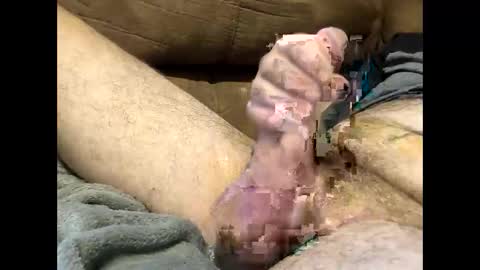 Snapshot of dirtykurty5000 chatting on September 12, 2025, 11:43 am Dirtykurty5000 online show from September 12, 2025, 11:43 am