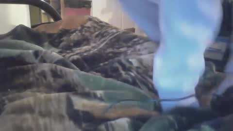 Snapshot of dirtynerdy30 chatting on January 18, 2025, 10:17 pm Dirtynerdy online show from January 18, 2025, 10:17 pm