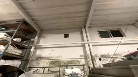 sexyguy online show from October 27, 2025, 3:21 am