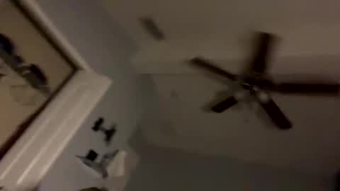 dixnice online show from February 21, 2026, 7:20 am