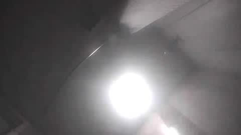 dixonbird41 online show from April 17, 2026, 9:45 am