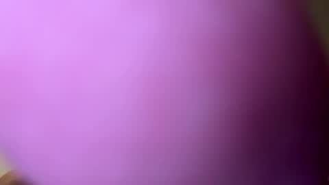Snapshot of djacko681 chatting on January 21, 2025, 5:09 pm djacko681 online show from January 21, 2025, 5:09 pm
