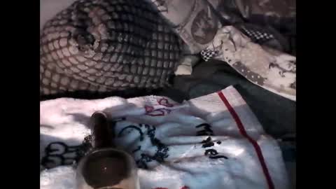 Snapshot of djangodave569829 chatting on October 4, 2025, 11:25 pm djangodave569829 online show from October 4, 2025, 11:25 pm