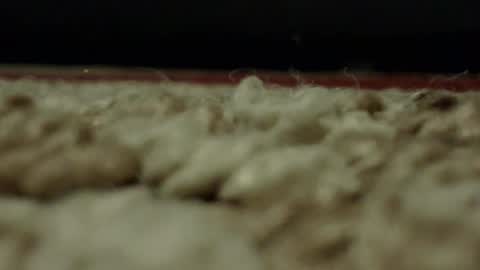 Snapshot of djwats chatting on February 24, 2025, 1:57 am Mmmmgood online show from February 24, 2025, 1:57 am