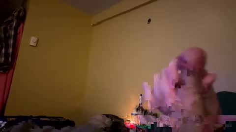 dnice69968127 online show from January 6, 2025, 12:59 am