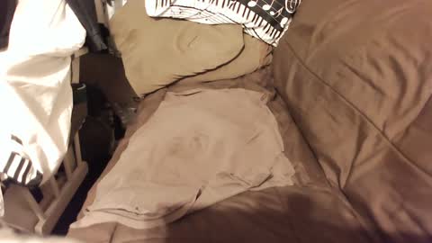 Snapshot of do4you2 chatting on January 18, 2025, 2:23 pm do4you2 online show from January 18, 2025, 2:23 pm