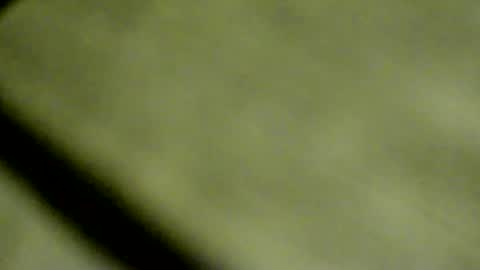 Doby online show from April 8, 2026, 9:48 pm