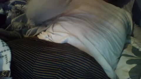 Alex online show from December 3, 2025, 8:56 am