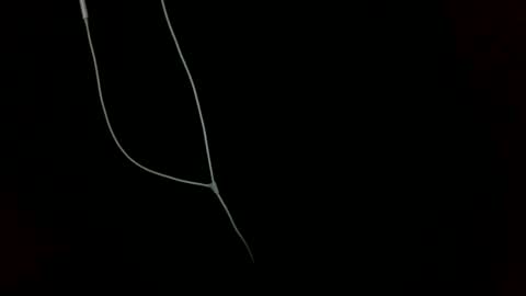 doctor_luv_69 online show from January 1, 2025, 9:20 pm