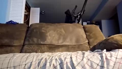 dogbone999081 online show from December 3, 2025, 8:45 am