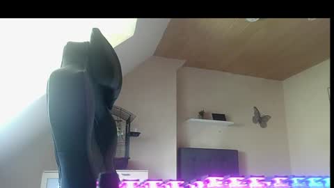 Snapshot of doggy2629 chatting on June 29, 2026, 12:05 pm doggy2629 online show from June 29, 2026, 12:05 pm