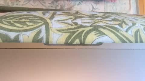 Snapshot of doggy707 chatting on January 14, 2026, 12:11 pm Theprinceofdarkness online show from January 14, 2026, 12:11 pm