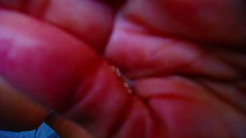 Snapshot of doll_pussy_ chatting on March 7, 2025, 6:24 am KRISTAL online show from March 7, 2025, 6:24 am