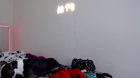 Catherine XXX online show from March 9, 2026, 4:00 pm