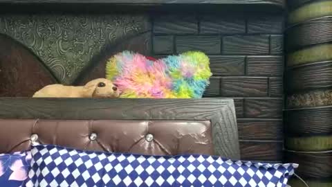 dollmeenu online show from November 21, 2025, 6:45 am