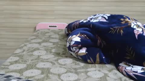 Snapshot of dolly_2 chatting on February 6, 2025, 10:04 am dolly_2 online show from February 6, 2025, 10:04 am