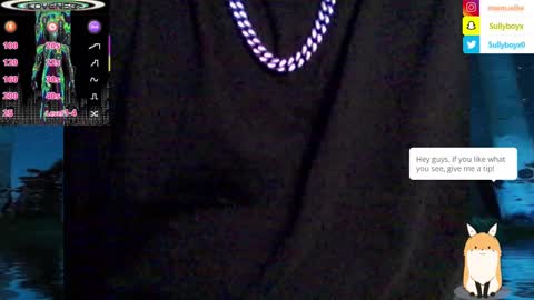 Sullyboyx online show from February 8, 2025, 7:49 pm