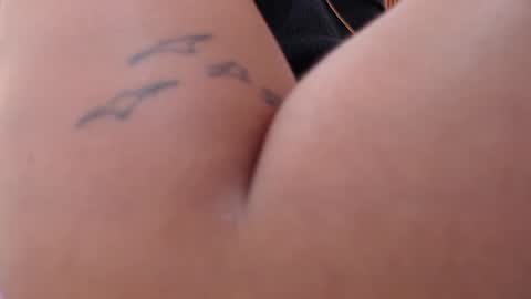 domenica online show from February 28, 2026, 12:17 pm