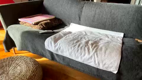 Alfredo online show from December 3, 2025, 11:19 am