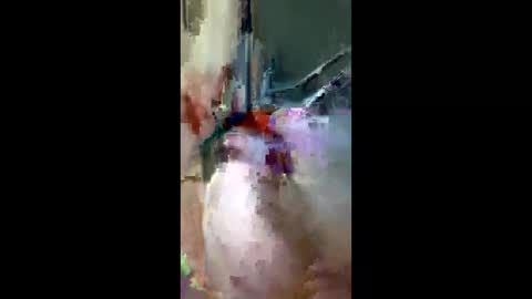 doogie215 online show from March 3, 2026, 12:50 am