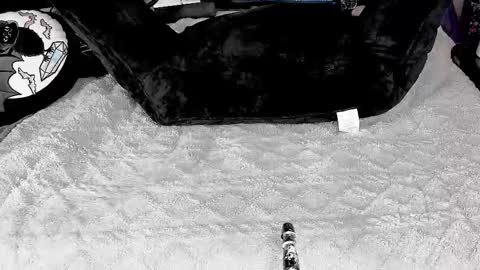 Snapshot of doomednympho chatting on March 4, 2025, 5:56 pm DOOM online show from March 4, 2025, 5:56 pm