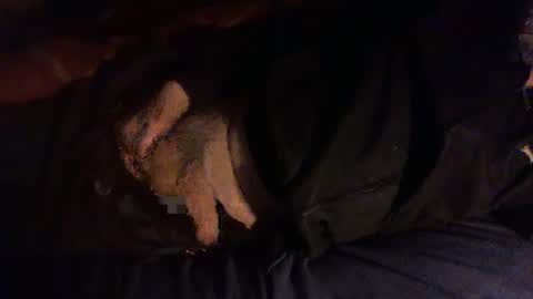 Hello  welcome to Slutsville  I am the Naked Chef  really  but you may call me Peter online show from January 8, 2026, 6:32 pm