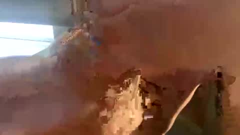 doug_funnie online show from April 6, 2026, 7:26 pm