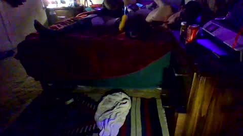 Driver Dick  Kylie Tits online show from February 9, 2026, 5:00 am