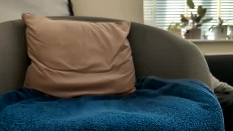 Drayfus online show from April 25, 2026, 4:15 pm