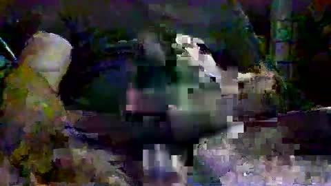Snapshot of drako1976111 chatting on September 13, 2025, 11:26 pm drako1976111 online show from September 13, 2025, 11:26 pm